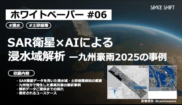 SAR衛星×AIによる浸水域解析 ─ 2025年の九州での豪雨事例