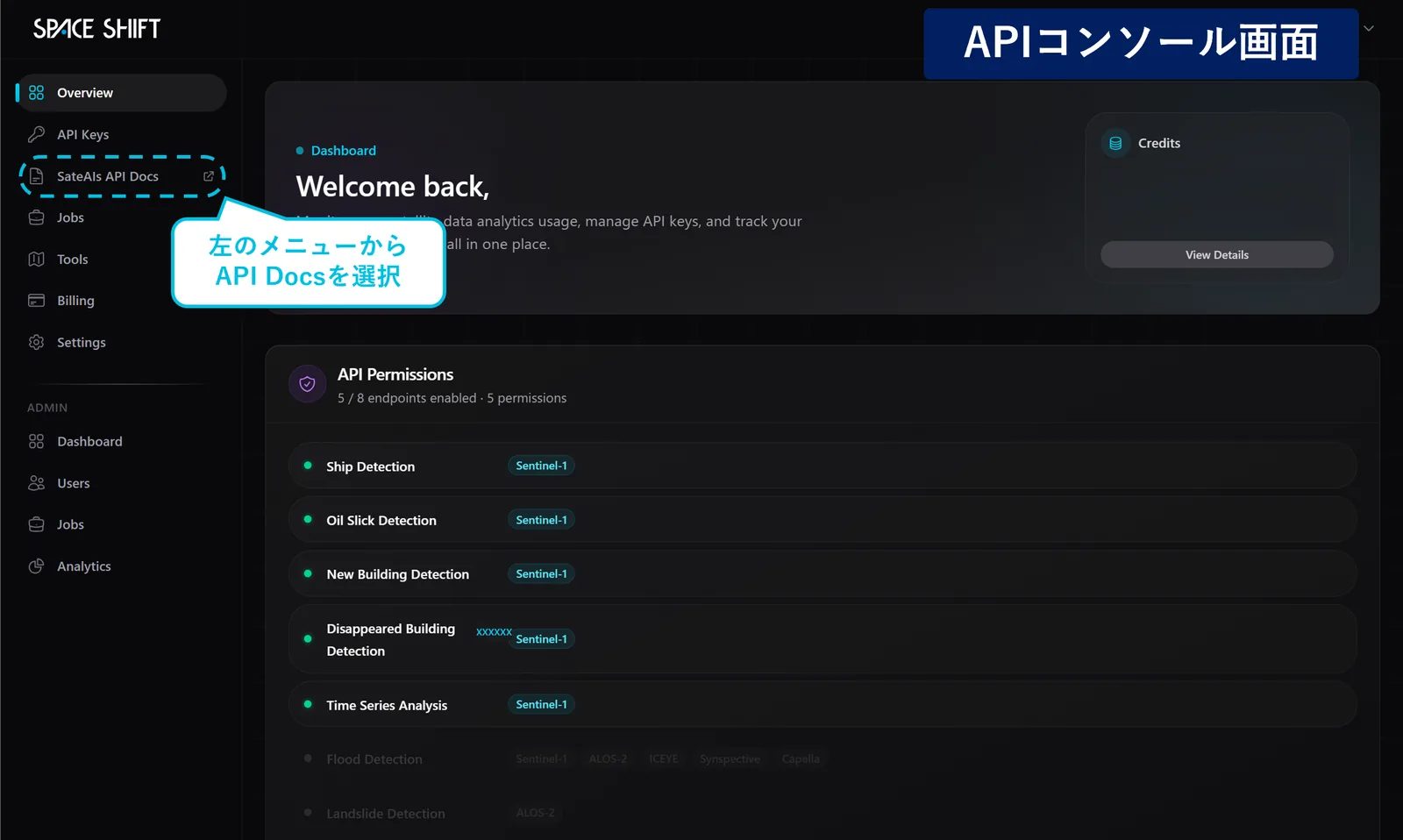 左メニューから「SateAIs API Docs」を選択