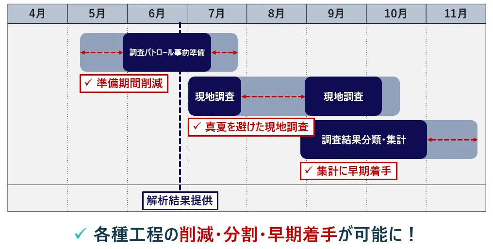 準備期間削減 / 真夏を避けた現地調査 / 集計に早期着手 — 各種工程の削減・分割・早期着手が可能に