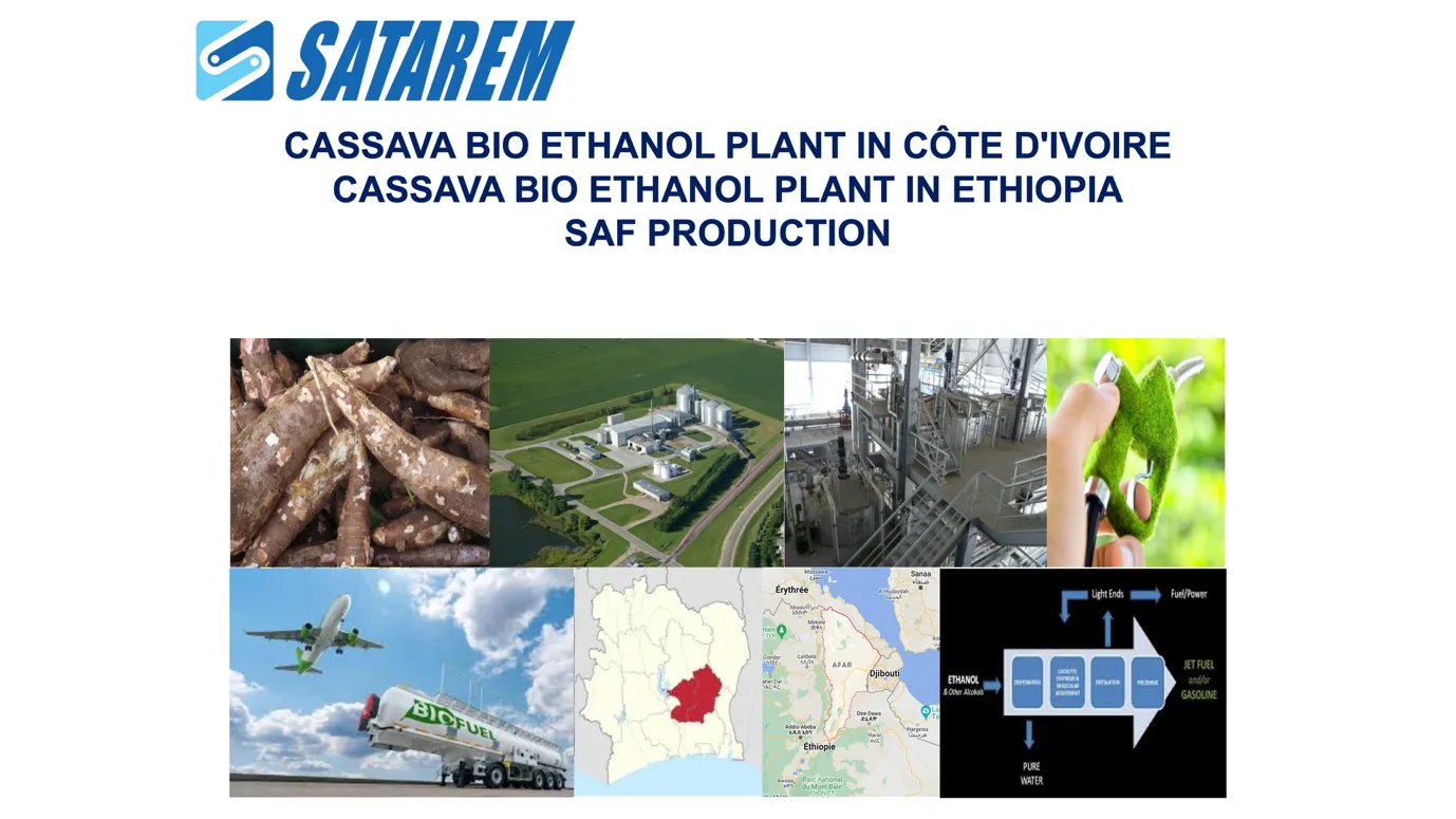 Satarem Americaの事業概要